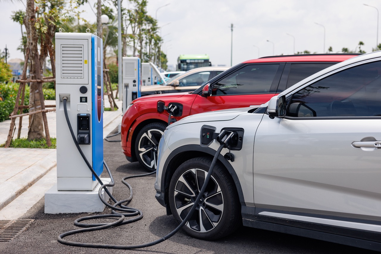 TRAM SAC 3 Large.jpeg