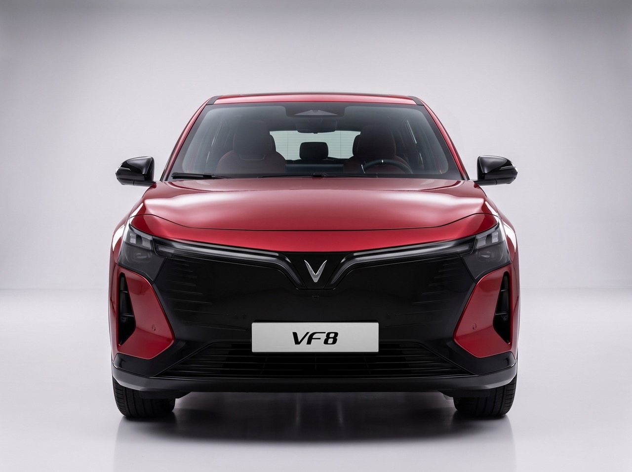 VF 8 1 Large.jpeg
