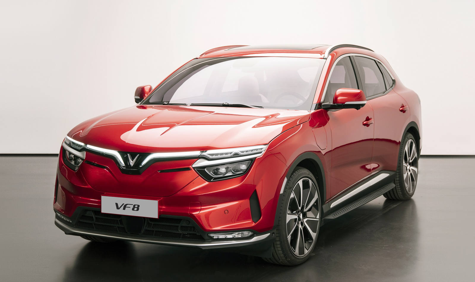 VF8.jpg