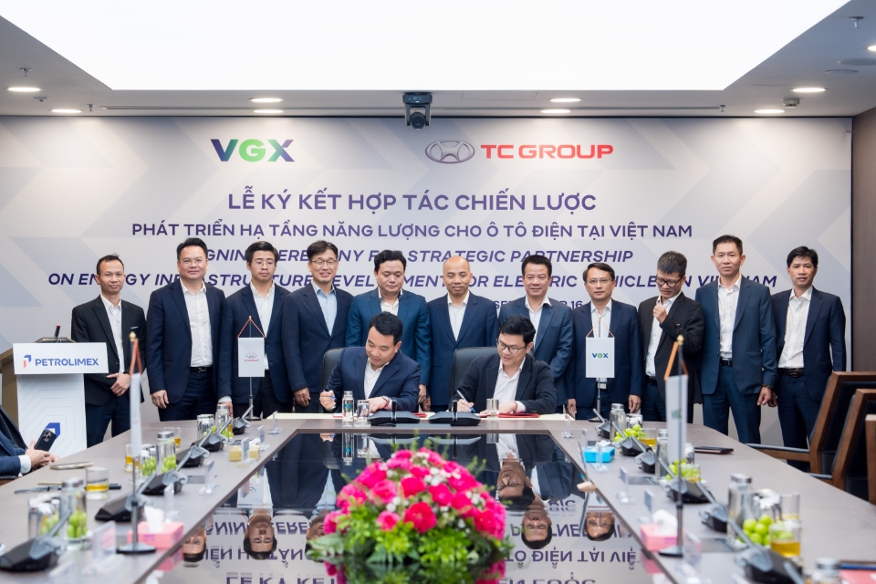 VGX-tcgroup-anh- (17).jpg