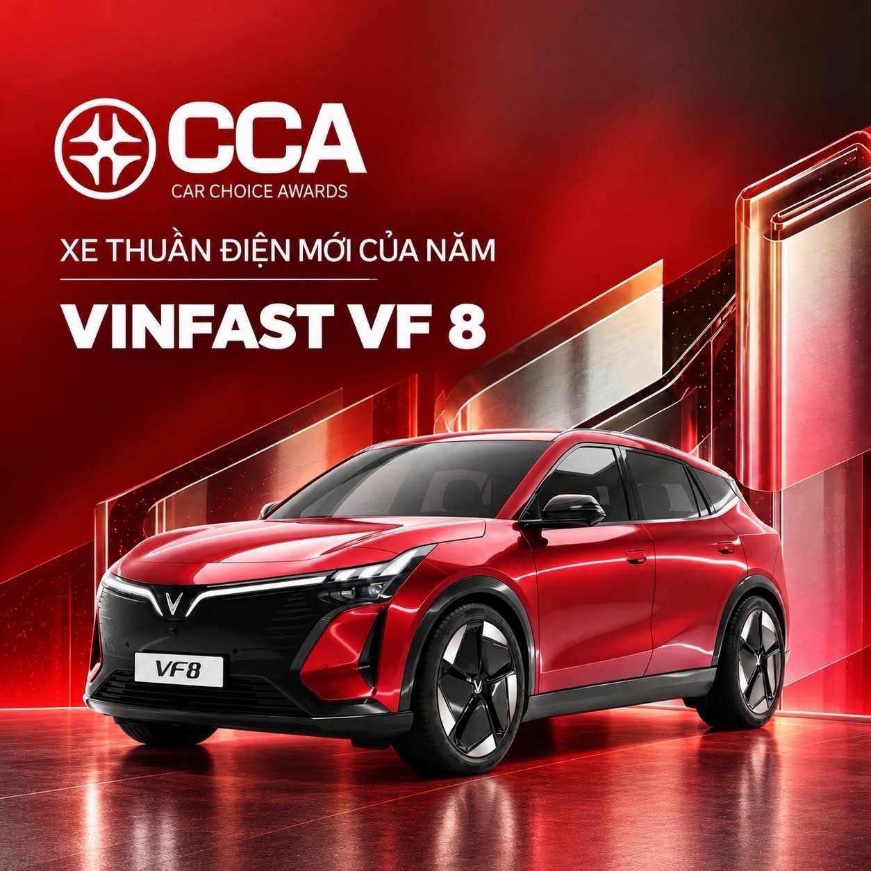 vinfast-anh-4.jpeg