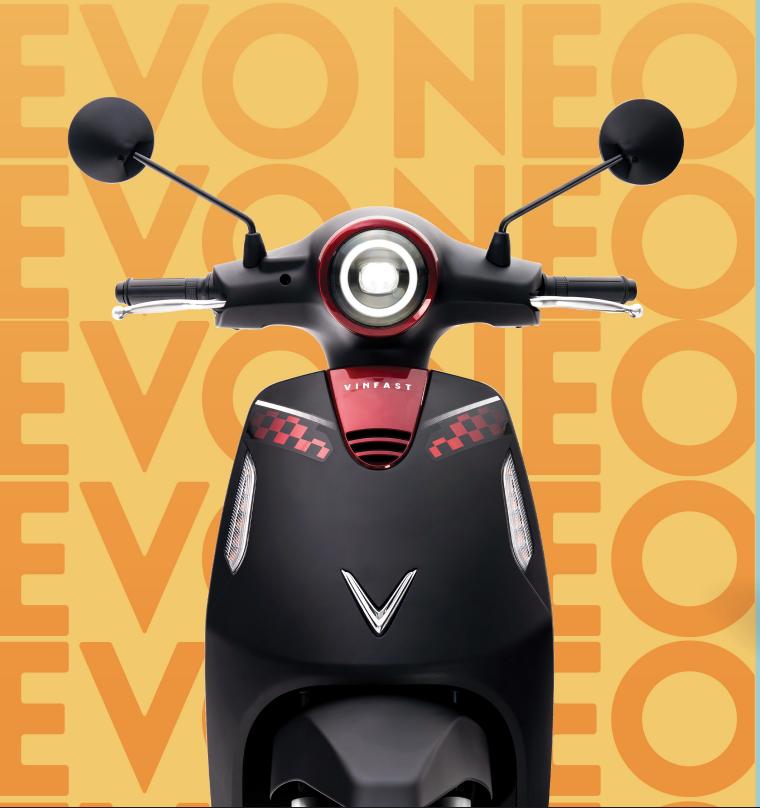 vinfast-evo-neo-8.jpeg