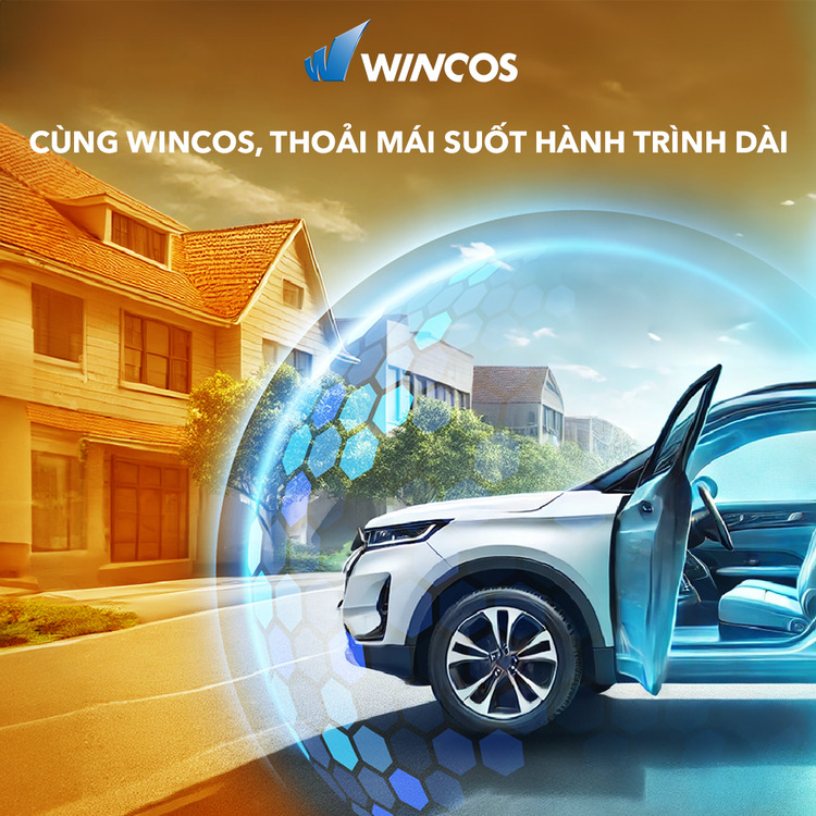 wincos-anh-2.jpg