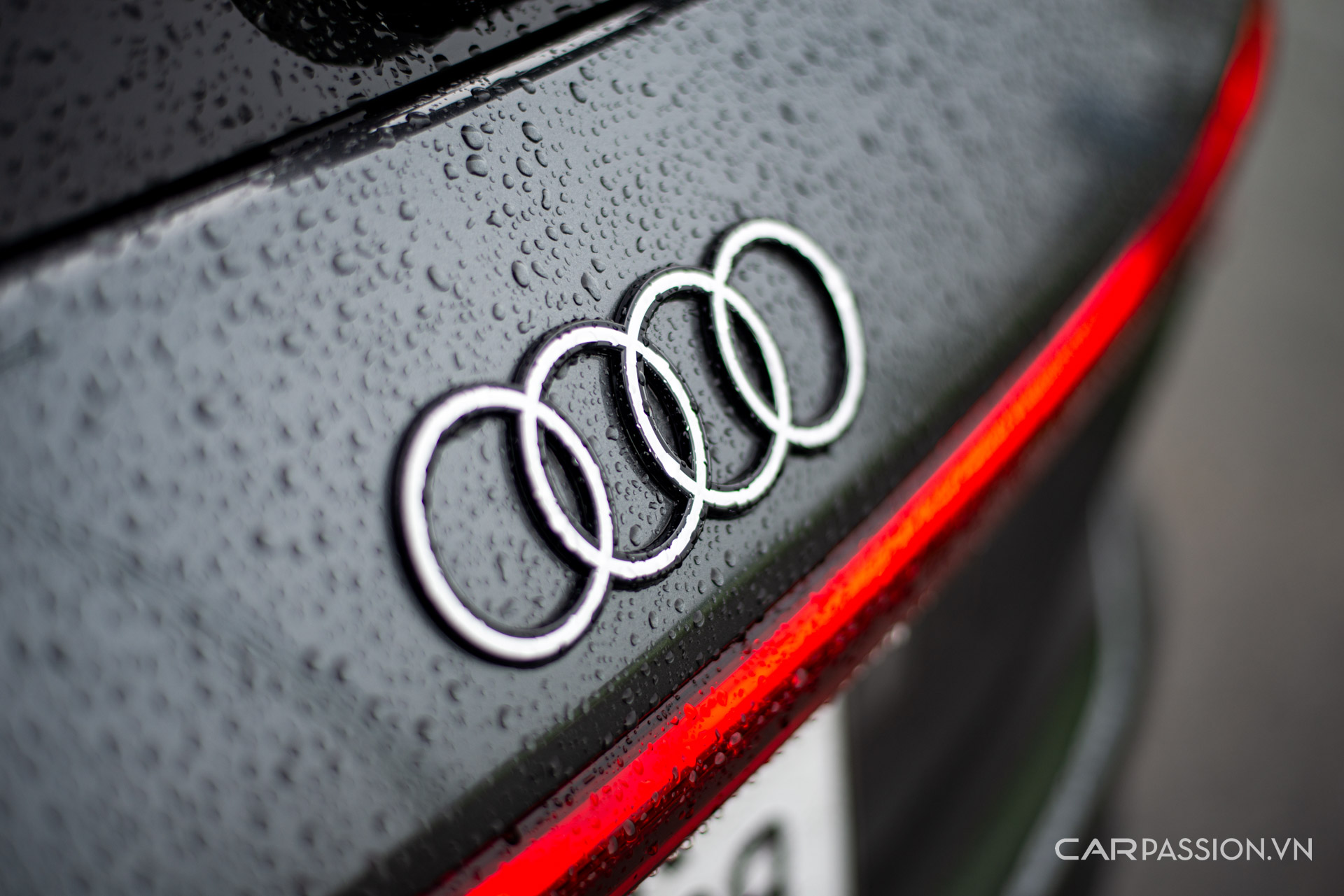 xe-Audi-Q6-etron-carpassion-anh--46.jpg