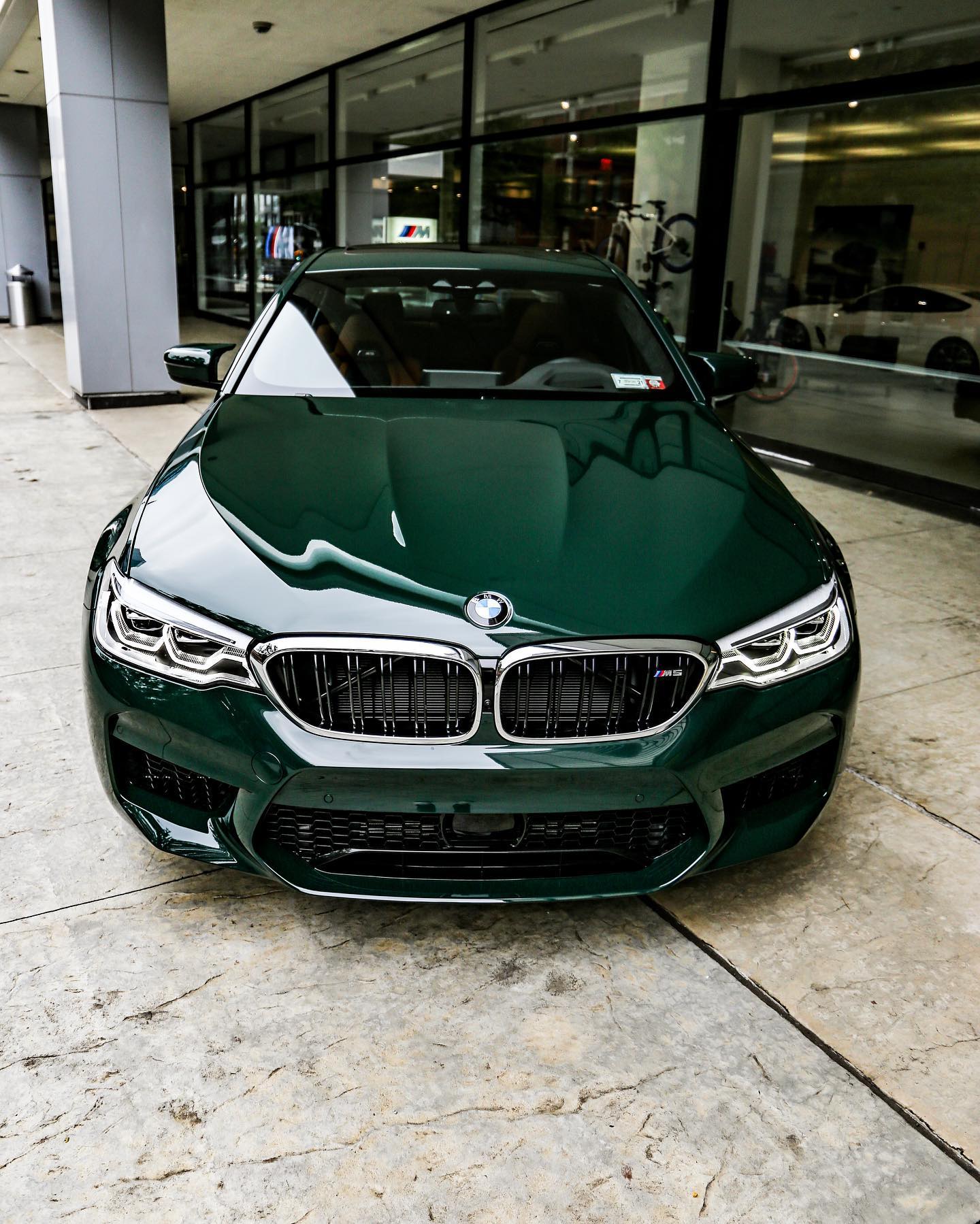y-nghia-dac-biet-khi-dat-ten-mau-son-cua-bmw-không-phai-bimmer-nao-cung-biet-anh-11.jpeg