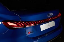 Audi A5 494 Large.jpeg