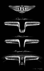 Bentley EXP 15 anh 53.jpeg