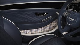 14 - PCG Interior Features - Tolsa Tweed Large.jpeg