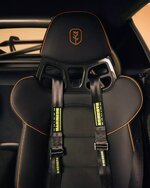 Porsche-718-Cayman-GT4-RS-TheTulip-anh-16.jpeg