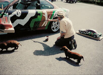 BMW-Art-Cars-Goodwood-Revival-anh-13.jpeg
