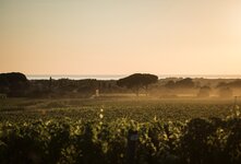 (11) Maserati Grecale Tributo Il Bruciato_Il Bruciato Landscapes Large.jpeg