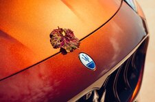 (06)_Maserati Grecale Tributo Il Bruciato Large.jpeg
