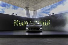 SPECIAL TEMERARIO-anh-17.jpeg