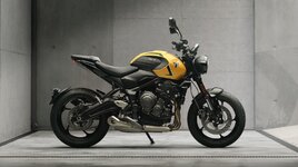 Triumph Trident 660-anh-6.jpg