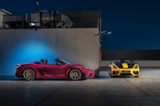 Porsche Việt Nam-tinh-than-duong-dua-gt-anh-10.jpeg