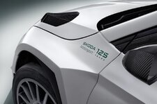 Škoda Fabia RS Rally2-anh-1.jpeg