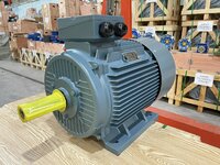 Động cơ điện 3 pha 1.JPG