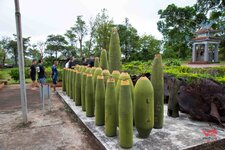 ngay-4-rally-truong-son-carpassion-anh--6 Large.jpeg