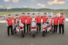 all team(1) Large.jpeg