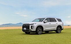 Hyundai Palisade Large.jpeg