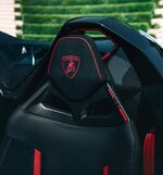 Lamborghini Fenomeno Roadster-anh-5.jpeg