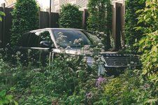RR_Cloister_RHS_Chelsea_May_2026_8_2_ Large.jpeg