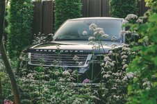 RR_Cloister_RHS_Chelsea_May_2026_7_3_ Large.jpeg