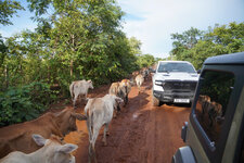 InchinaRally_day1_13.jpg