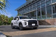 Hyundai Palisade Large.jpeg