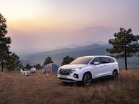 Hyundai Custin Large.jpeg