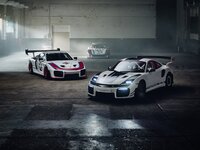 Porsche 911 GT2 RS Flachbau-anh-8.jpeg