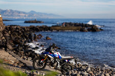BMW F 450 GS 2027-anh-_3.jpg