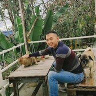 huynguyen_dev