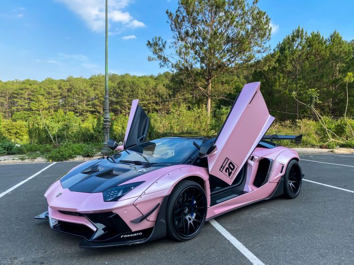 Lamborghini aventador pink