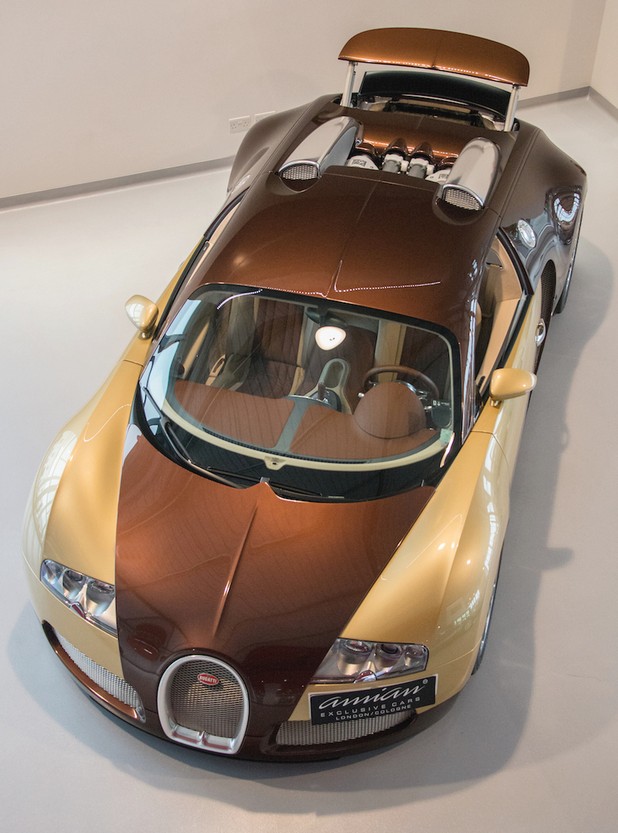 Amian-Bugatti-Veyron-25-April-2014-by-Ian-Hunt-72-dpi-DSC_4389-copy.jpg