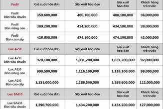 Xe VinFast hấp dẫn hơn với chính sách giá mới