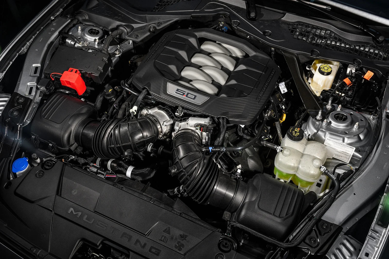 Động cơ Coyote V8 5.0L thế hệ 4 của Ford đã được bán lẻ, dễ dàng hoán đổi khi nâng cấp xe